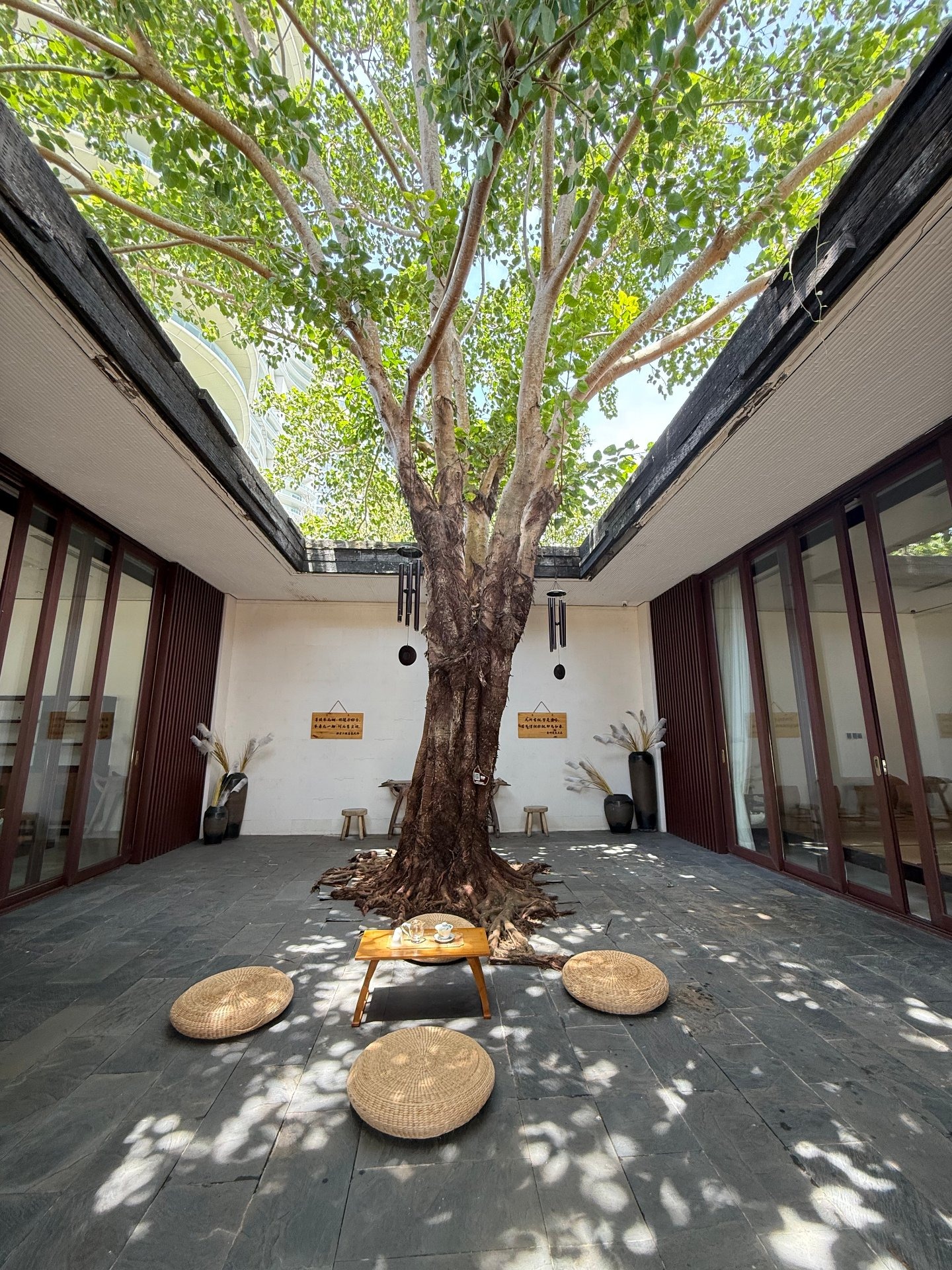 菩提小院入口庭院